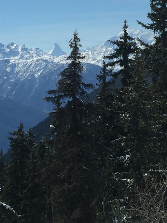 Haus Brunnen Apartamento Riederalp Exterior foto